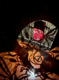 Hanging Luminary DragonFly